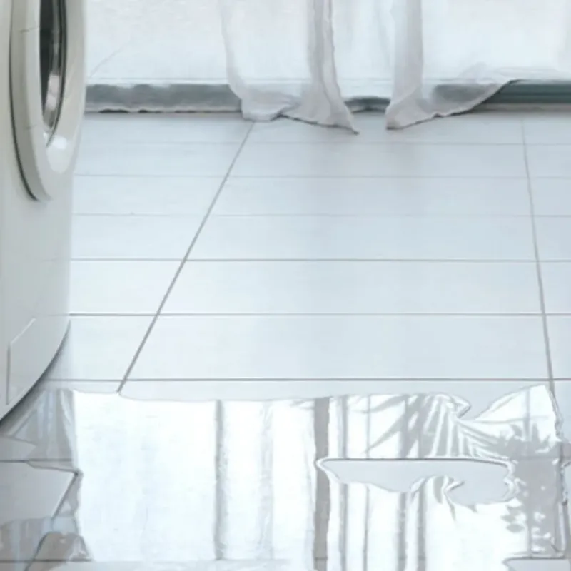 Appliance Leak Cleanup in Rogers City, MI