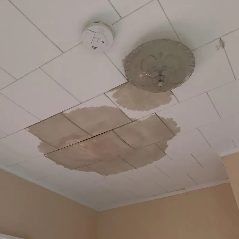 Ceiling Water Damage Repair in Rogers City, MI